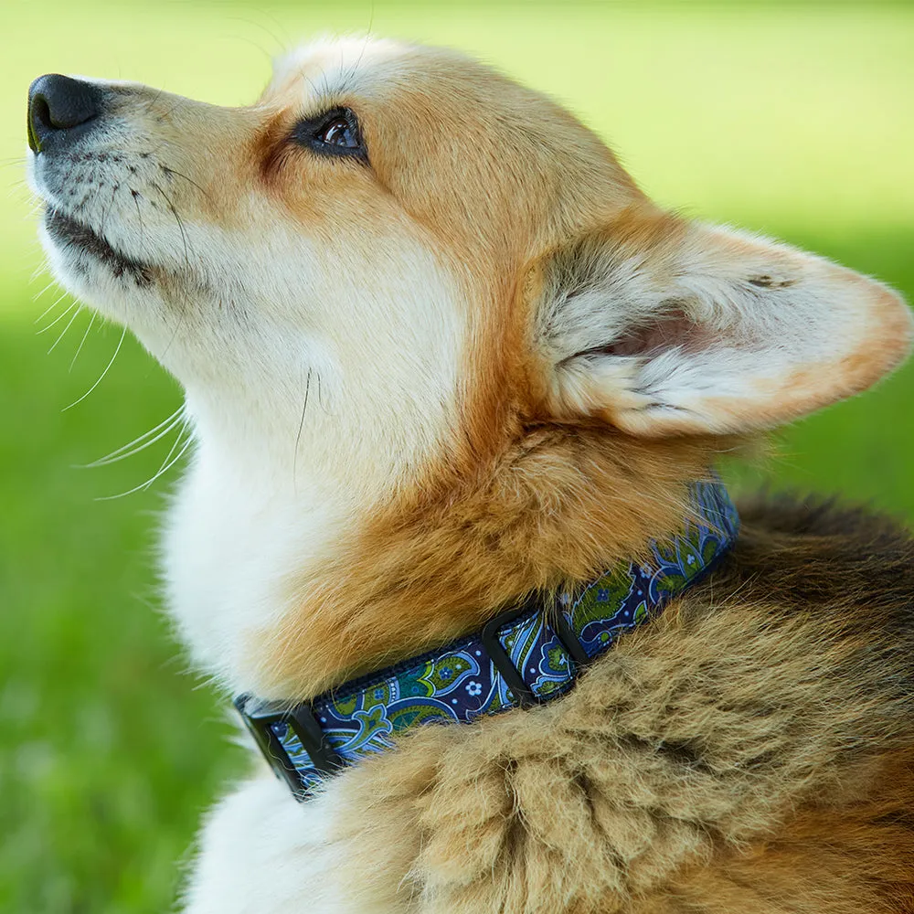 Flame River - Dog Collar